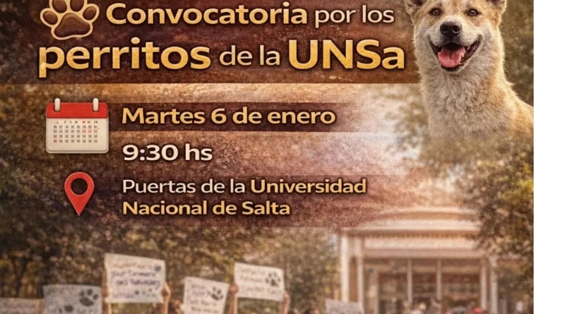 Convocatoria por los perros de la UNSa: vecinos y proteccionistas reclaman garantías de cuidado