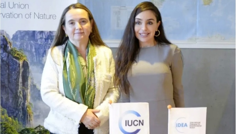 IDEA: Diálogo Internacional para la Acción Ambiental