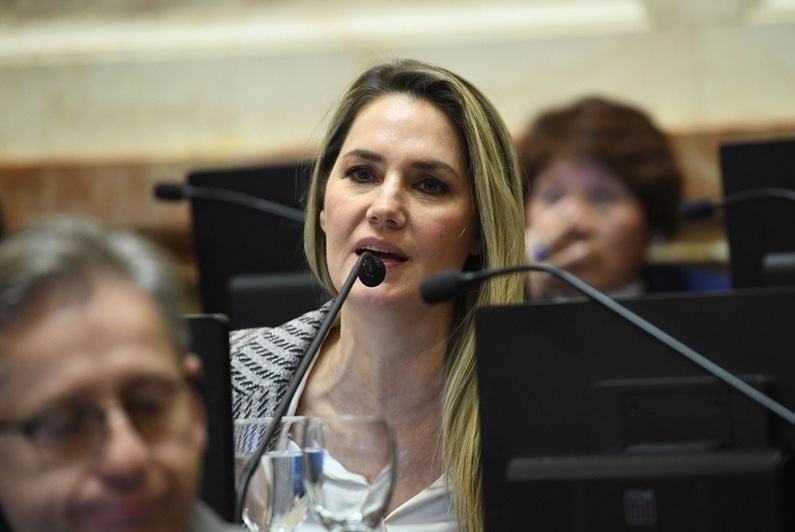Por tercera vez fracasó el tratamiento del proyecto de ley sobre falsas denuncias
